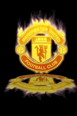 效力於多家 效力於多家